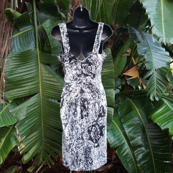 cache snake print body con dress - Picture 4 of 6